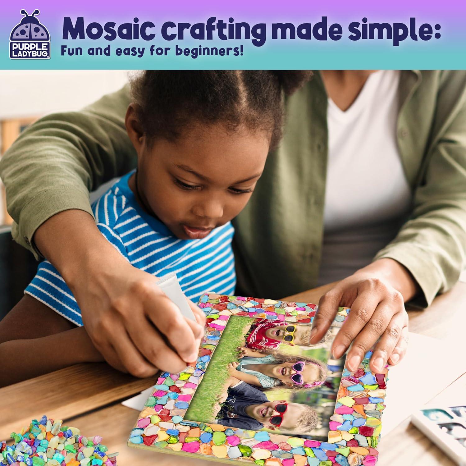 image:imagePURPLE LADYBUG DIY Mosaic Photo Frame Crafts for Girls 812 68 Great Valentines Day Gift for Kids 7 8 9 10 11 12 Years Old Fun Craft Kit for Kids amp Girl Birthday Tween amp Teens Gifts IdeaShiny Mosaic Shells