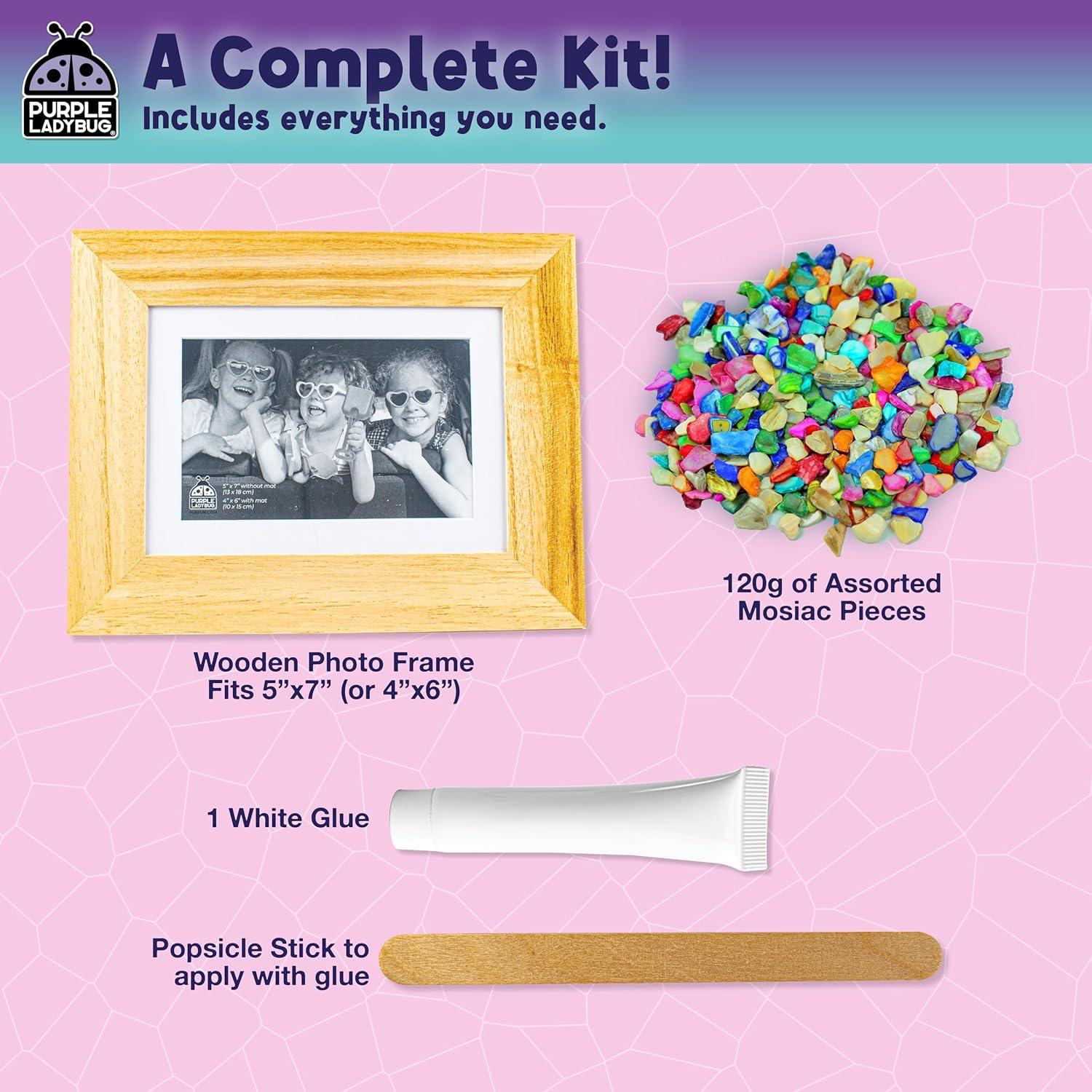 image:imagePURPLE LADYBUG DIY Mosaic Photo Frame Crafts for Girls 812 68 Great Valentines Day Gift for Kids 7 8 9 10 11 12 Years Old Fun Craft Kit for Kids amp Girl Birthday Tween amp Teens Gifts IdeaShiny Mosaic Shells