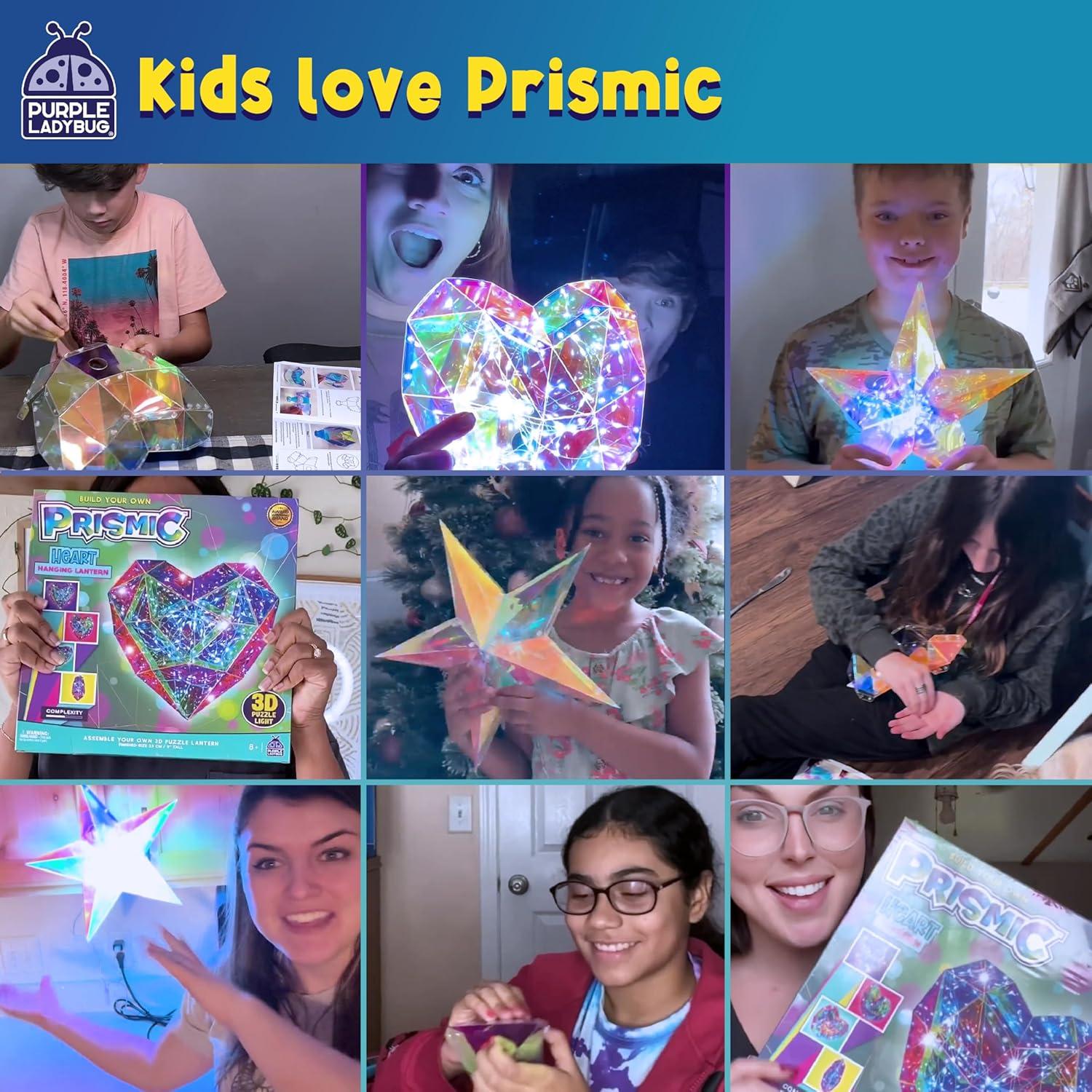 image:imagePURPLE LADYBUG Prismic 3D Puzzle Dog Lantern Kit Gifts for 812 Years Old Boys amp Girls Teens amp Tweens Gift Dog Lover Gifts for Kids STEM Art Project for Kids amp Teens Night Light Room DecorHanging Heart