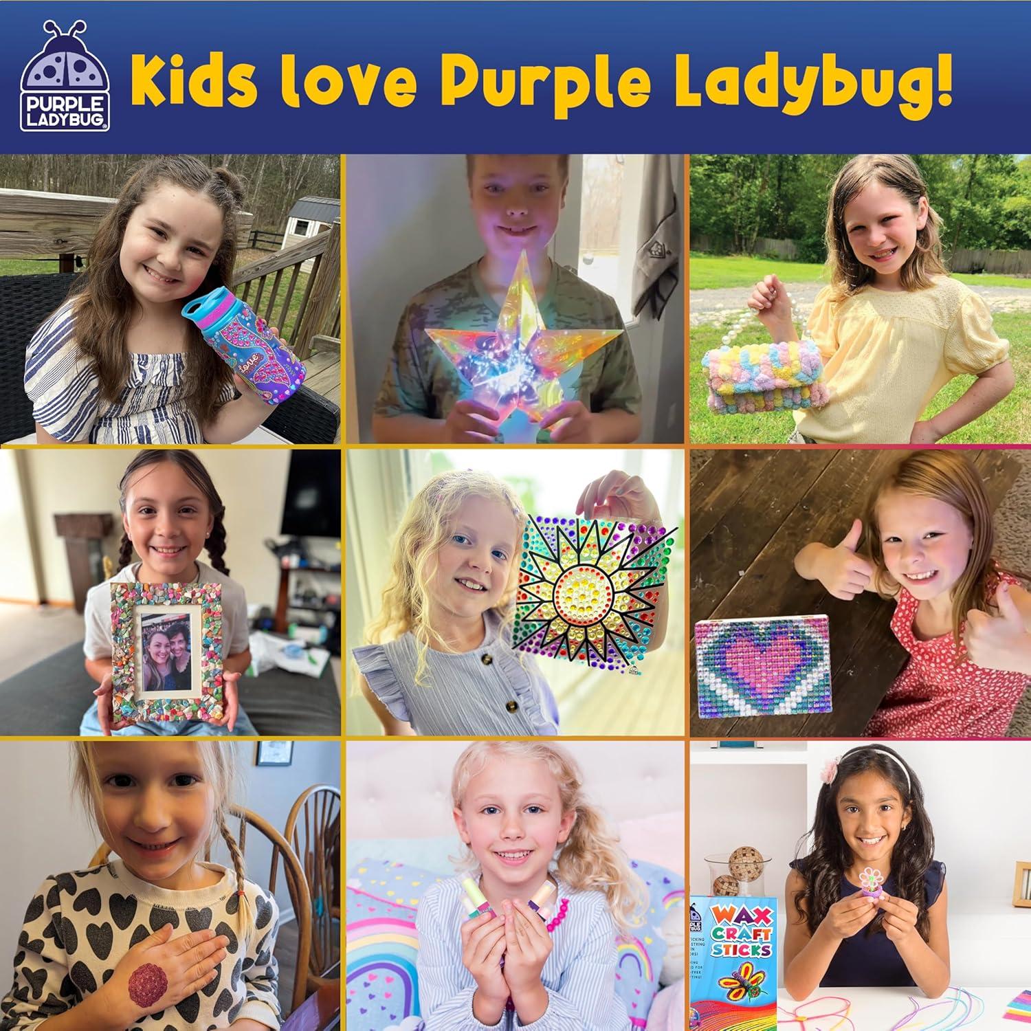 image:imagePURPLE LADYBUG Teacher Stickers for Students 4960 Reward Stickers for Kids Classroom Supplies Teacher MustHaves for Classroom Reward Charts Star Back to School GiftPuffy Stickers 40 Sheets 950 Stickers